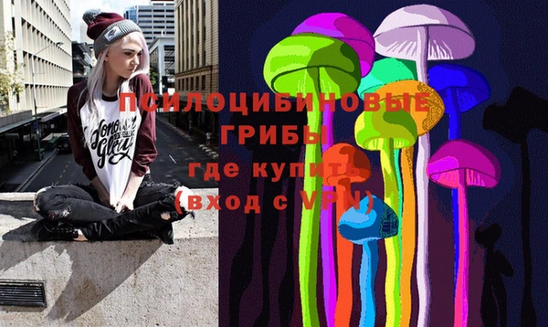 крисы Гусь-Хрустальный