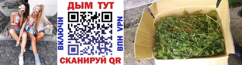 Конопля план  blacksprut ONION  Калуга 